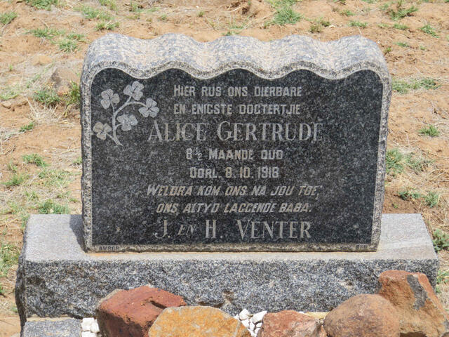 VENTER Alice Gertrude -1918