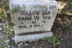 VENTER Willem Jan Harm 1920-1920