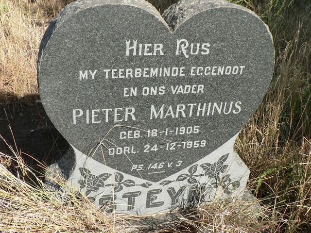 STEYN Pieter Marthinus 1905-1959