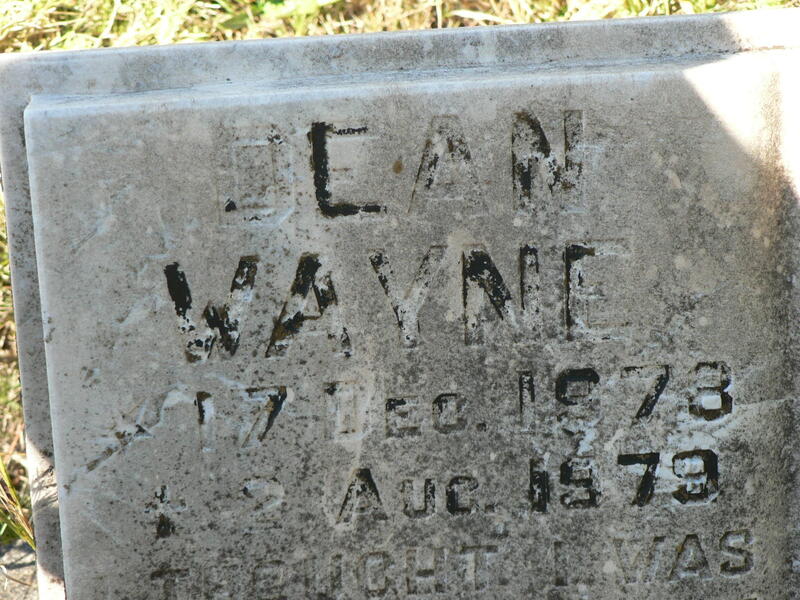 WAYNE Dean 1978-1979