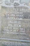 VILJOEN Abraham Jacobus 1867-1956