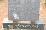 GOUWS Gert J.S. 1932-1993