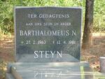 STEYN Barthalomeus N. 1963-1981