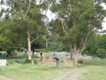 Eastern Cape, FORT BEAUFORT, Main cemetery