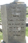 THERON David Carl 1862-1934 & Magdalene Susunna SMIT 1865-1947