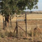 Free State, SMITHFIELD district, Damfontein 165, farm cemetery
