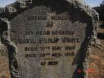 WHITE David Philip 1865-1919
