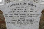 HEWSON John -1919 & Elizabeth Ann -1932 :: HEWSON Gertrude Ellen -1905 :: HEWSON Leslie Arthur -1885