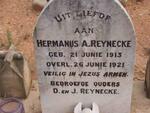 REYNECKE Hermanus A. 1913-1921