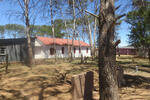 Eastern Cape, HEWU district, Thornhill, Old Mission Station, cemetery
