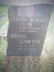 CARTER Brian 1946-1977