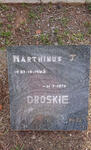 DROSKIE Marthinus J. 1962-1975