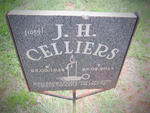 CELLIERS J.H. 1952-2014