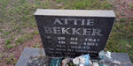 BEKKER Attie 1941-1997
