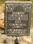 RAS Eduard David 1847-1886