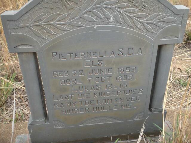 ELS Pieternella S.C.A. 1899-1899
