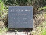 HERSELMAN A.C. nee STRYDOM 1887-1958