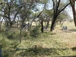 Limpopo, BELA-BELA district, Sondela Nature Reserve, Tweefontein 462_2, Mashitleng cemetery