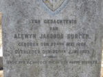 BURGER Alewyn Jakobus 1868-1903
