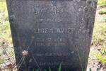 DAVIES Alice 1887-1969