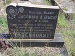 BADENHORST Jacomina A. nee KOCH 1901-1969