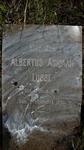 LUBBE Albertus Adriaan 1880-1942