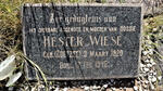 WIESE Hester nee COETZEE 1920-1946