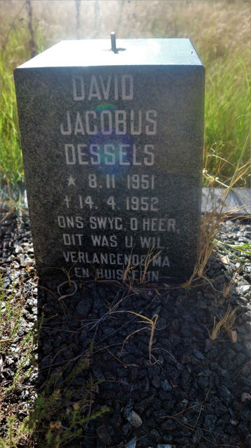 DESSELS David Jacobus 1951-1952
