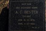 BESTER A.C. nee KILIAN 1875-1960