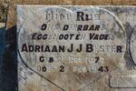 BESTER Adriaan J.J. 1870-1943