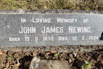 NEWING John James 1875-1954