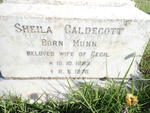 CALDECOTT Sheila nee MUNN 1883-1976