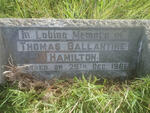 HAMILTON Thomas Ballantine -1961