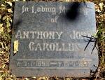CAROLLUS Anthony John 1895-1972