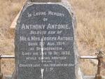 ANTONIE Anthony 1914-1932
