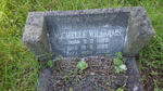 WILLIAMS Michelle 1966-1966