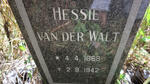 WALT Hessie, van der 1868-1942