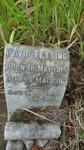 FETTING David 1916-1916