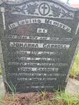 CARROLL Spiro -1944 & Johanna 1868-194?