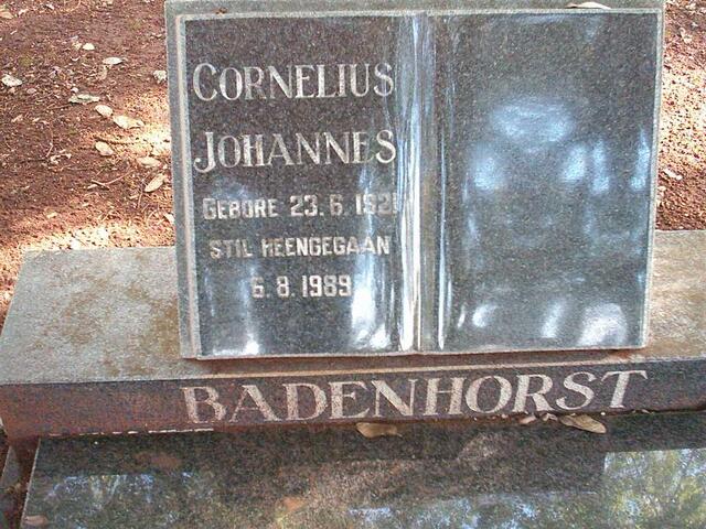 BADENHORST Cornelius Johannes 1921-1989