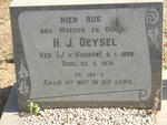 DEYSEL H.J. nee J.V. VUUREN 1896-1979