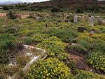 Western Cape, OUDTSHOORN district, Oudtshoorn, Bakenkraal 164, Bakenskraal, farm cemetery