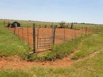 North West, VRYBURG district, Stella, Pan Plaats 565_3, Moscow, farm cemetery