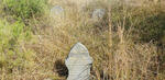North West, POTCHEFSTROOM district, Wildebeestlaagte 374, farm cemetery