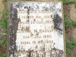 RADLOFF Carl A.B. 1880-1888 :: RADLOFF Gustav M. 1882-1892