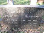 OOSTHUIZEN Cornelius Jacobus 1896-1982 & Hendrina Wilhelmina 1896-1993