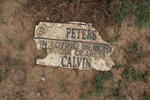 PETERS Calvin