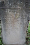 MASEY Bessie nee PAPENFUS 1885-1923 :: MASEY Son