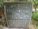 MATTHEUS Johannes Andries 1887-1926
