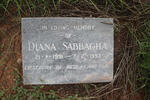 SABBAGHA Diana 1991-1993